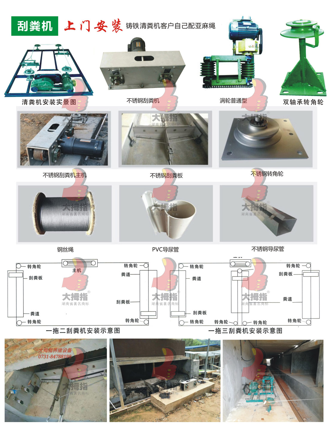 可點擊放大